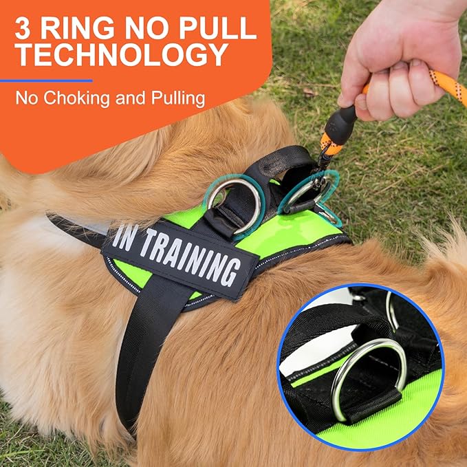 Essential Dog Harness, No Pull Pet Harness with 3 Side Rings for Leash Placement, No Choke, Reflective, Adjustable Pet Vest, Easy On-Off & Improved Control Handle, Training, Walking, Running