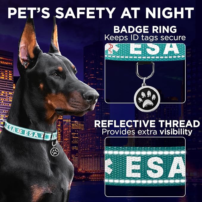 TECEUM Reflective Pet Collar – Teal - ESA – M – Extra Soft Padding – Basic Nylon Dog Collar – Quick Release Buckle – Fits Small, Medium and Large Dogs, Puppies, Cats – ESA & Service Dog Options