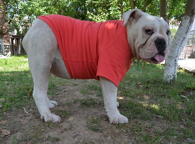 Lovelonglong Bulldog Clothes Dog Clothing Blank T-Shirt Tee Shirts for French Bulldog English Bulldog American Pit Bull Pugs 100% Cotton Skin Care Lobster-Pink B-M