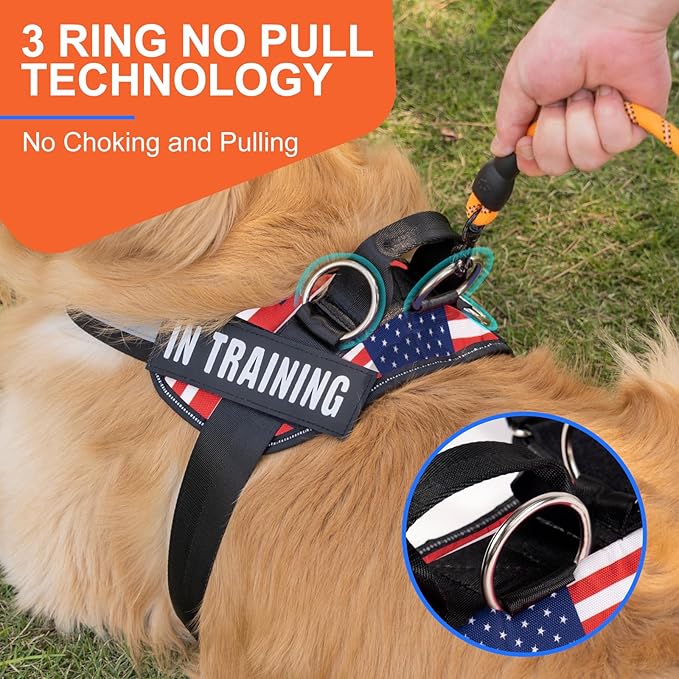 Essential Dog Harness, No Pull Pet Harness with 3 Side Rings for Leash Placement, No Choke, Reflective, Adjustable Pet Vest, Easy On-Off & Improved Control Handle, Training, Walking, Running