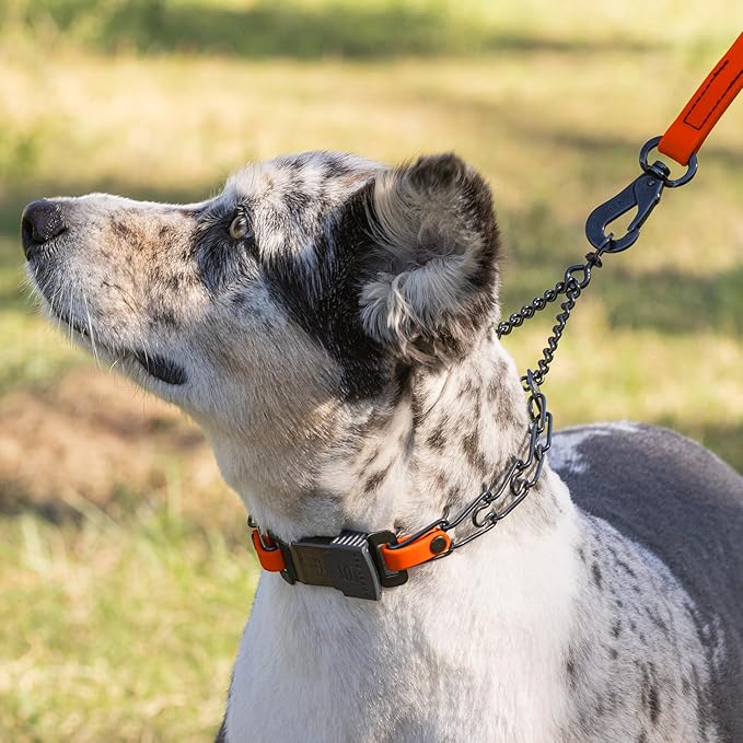Herm Sprenger Black Stainless Steel Dog Collar with Quick Release ClicLock Buckle and Biothane Insert Training Collar Made in Germany (Hunter Orange, 16in x 2.25mm(Neck Size up to 13-14in))