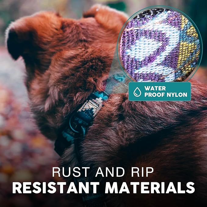 Embark Adventure Dog Collar – Stylish & Durable Nylon Dog Collars for Small Dogs, Comfortable Pet Collar, Small Dog Collars for Male & Female Dogs with Strong Buckles. Adjustable Small Dog Collars