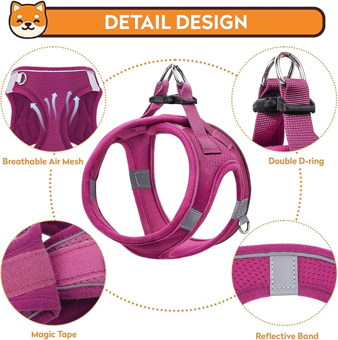 Dog Harness with Leash Set, No-Pull Step-in Reflective Pet Harness with 1 Leash Clips, Adjustable Soft Padded Easy Walk Dog Vest for Small Medium Large Dogs, Cats(Rose Red, Large)