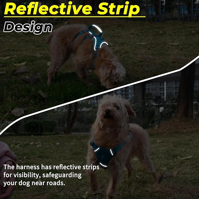 Escape Proof Dog Harness and Leash Set, Lightweight Dog Harness with Lift and Assist Handle, No Pull Reflective Pet Vest for Small Medium Dogs, Ideal for Puppy Walking and Training (Blue, XS)