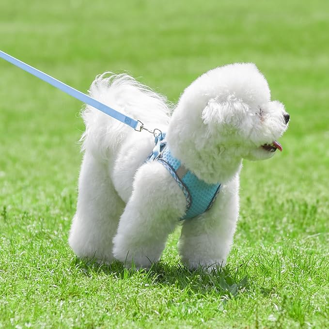 Tiny Dog Harness, All Weather Diamond Mesh, Reflective Stripes, No Pull Step in Lightweight Vest Harness for Puppy, Small Dogs and Cats Blue XXXS