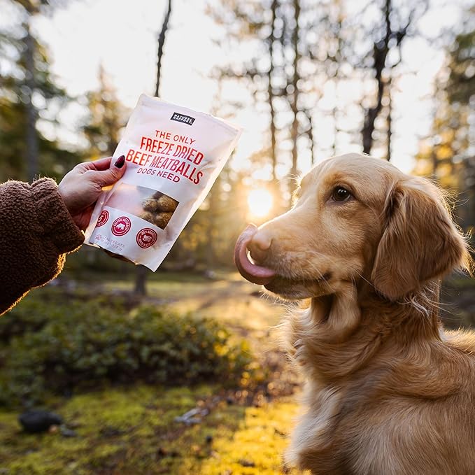 Natural Rapport Beef Meatball Dog Treats - The Only Beef Meatballs Dogs Need - All Natural Dog Treats for Small and Large Dogs (4 oz)