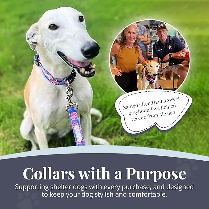 Lucky Love Dog - Adjustable Dog Collar and Leash Set with Easy Click Buckle for Small to Large Dogs, Durable, & Comfortable Collar for Male & Female Dogs, Puppies & Adult Dogs - Zuzu, XS