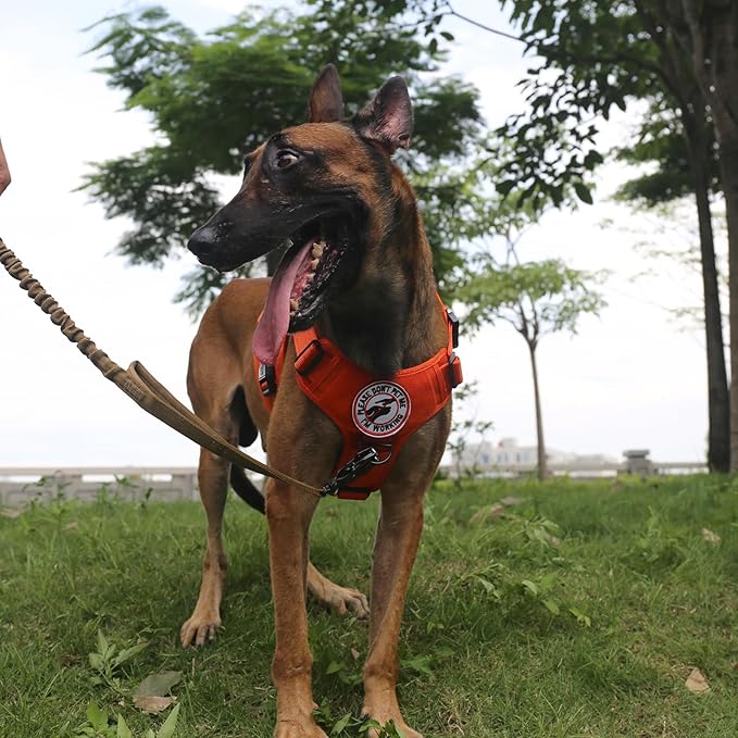 ICEFANG Tactical Dog Harness,Large Size, 2X Metal Buckle,Working Dog MOLLE Vest with Handle,No Pulling Front Leash Clip,Hook and Loop Panel