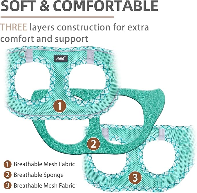 PUPTECK Dog Harness and Leash Set for Small Medium Dogs No Pull Step-in Soft Mesh Puppy Cat Vest Harnesses Reflective at Night, Upgraded New Green M