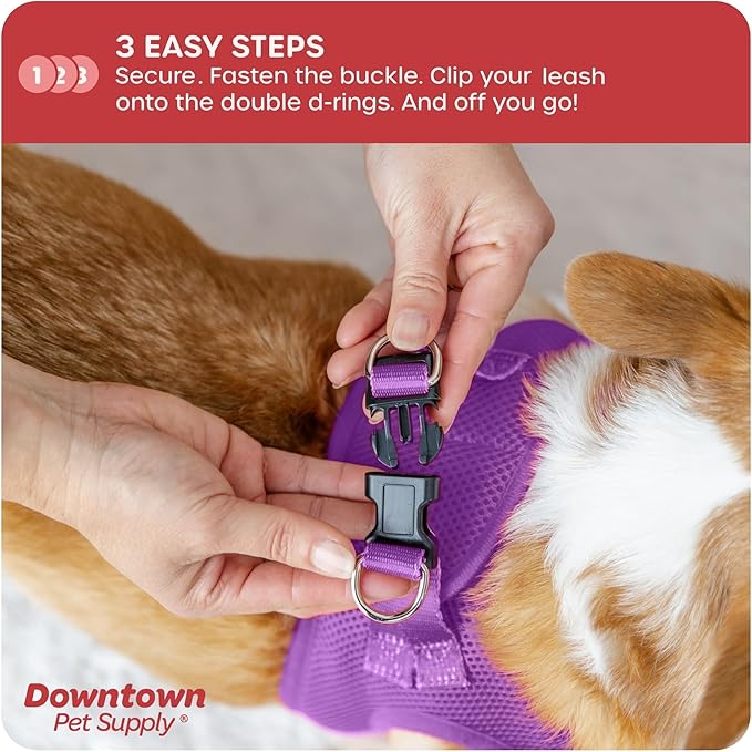Downtown Pet Supply Step in Dog Harness for Small Dogs No Pull, Medium, Purple - Adjustable Harness with Padded Mesh Fabric and Reflective Trim - Buckle Strap Harness for Dogs
