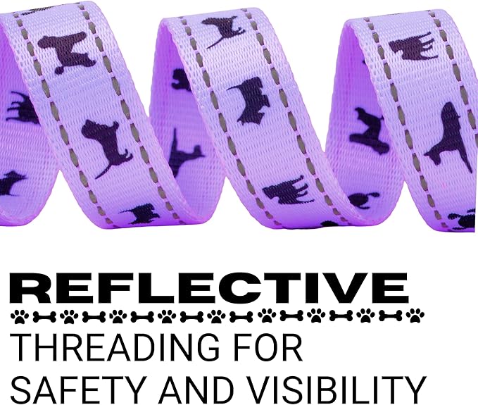 EcoBark Dog Leash - 4 FT / 5 FT / 6 FT Reflective Dog Leash- Eco-Bright Dog Leashes with Padded Handle - Strong Heavy Duty Dog Leash - Nylon Dog Leash for Small and Medium Dogs (Lavender Dog Leash)