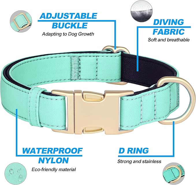 Didog Soft Padded Dog Collars for Small Dogs, Waterproof and Durable Pet Collar with Quick Release Buckle, Light and Breathable for Daily Walking,Green,S(Neck:10-15")