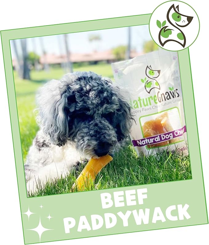 Nature Gnaws Beef Paddywack Tendons for Dogs 5-6" (10 Count) - Long Lasting for Aggressive Chewers - Natural Beef Dog Chew Bones - Rawhide Free (Pack of 2)