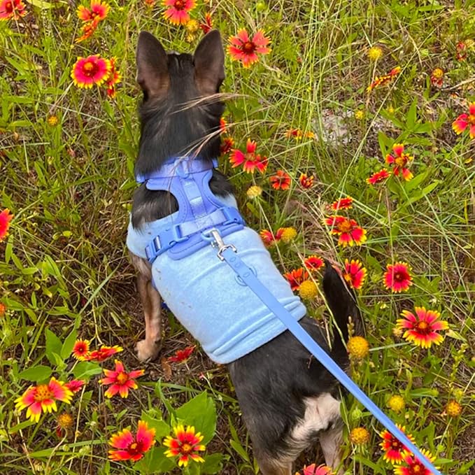 ADEDAS Sleeveless Shirt - Blue XXL