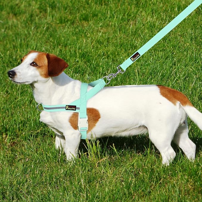 Plutus Pet Cotton Dog Harness and Leash Set, Reflective and Soft Padded, Quick Fit Vest Harness, for Small, Medium and Large Dogs, Light Cyan, M
