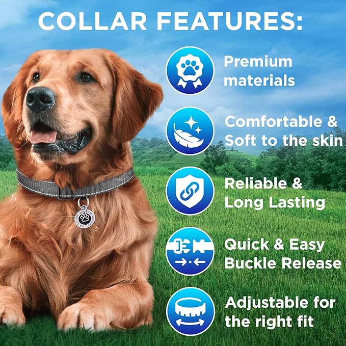 TECEUM Reflective Pet Collar – Gray – XL – Extra Soft Padding – Basic Nylon Dog Collar – Quick Release Buckle – Fits Small, Medium and Large Dogs, Puppies, Cats – ESA & Service Dog Options