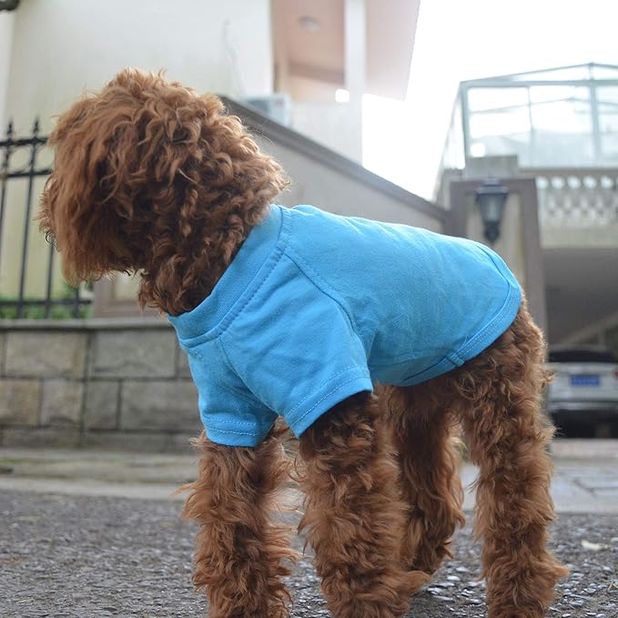 Lovelonglong Pet Clothing Dog Costumes Basic Blank T-Shirt Tee Shirts for Small Dogs Lake-Blue S