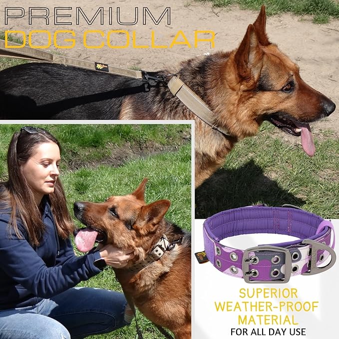 ADITYNA Heavy Duty Dog Collar for Large Dogs - Camo Purple Collar with Handle for Training, and Walking - Wide, Thick, Tactical, Soft Neoprene Padded