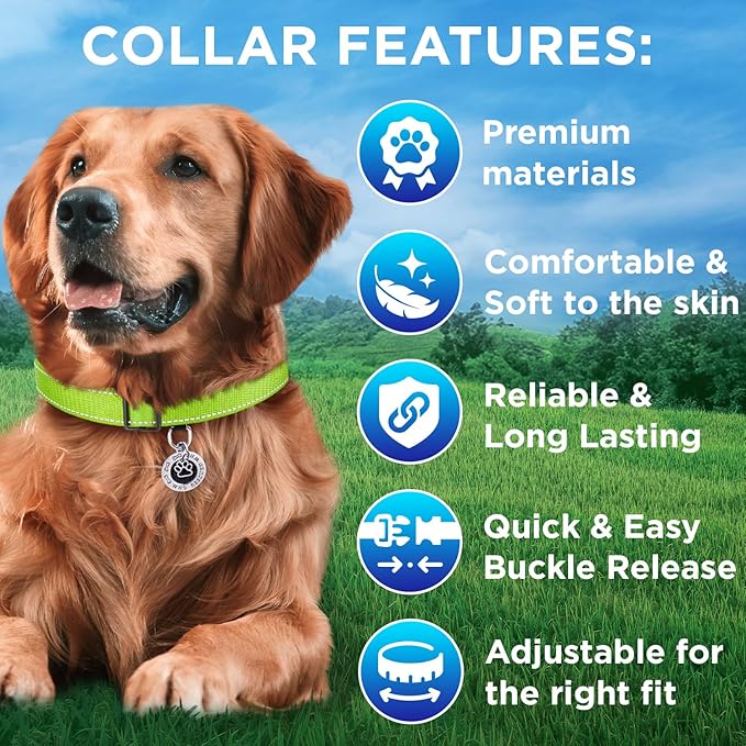 TECEUM Reflective Pet Collar – Acid Green – XL – Extra Soft Padding – Basic Nylon Dog Collar – Quick Release Buckle – Fits Small, Medium and Large Dogs, Puppies, Cats – ESA & Service Dog Options