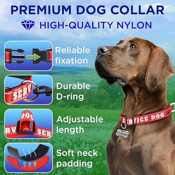 TECEUM Reflective Pet Collar – Red - Service Dog – L – Extra Soft Padding – Basic Nylon Dog Collar – Quick Release Buckle – Fits Small, Medium and Large Dogs, Puppies, Cats