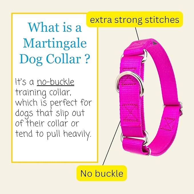 Country Brook Petz Martingale Dog Collar - Heavy-Duty Training Collar with No Buckle - Service Dog Collar for All Pups - Vibrant, Colorful Collection (Fuchshia, 5/8 Inch, Extra Small)
