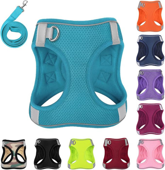Dog Harness with Leash Set, No-Pull Step-in Reflective Pet Harness with 1 Leash Clips, Adjustable Soft Padded Easy Walk Dog Vest for Small Medium Large Dogs, Cats(Teal, Medium)