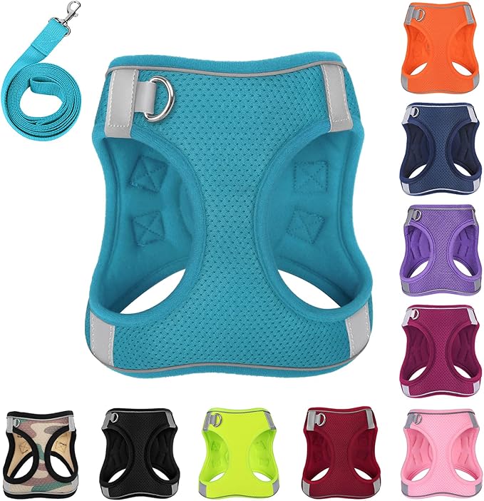 Dog Harness with Leash Set, No-Pull Step-in Reflective Pet Harness with 1 Leash Clips, Adjustable Soft Padded Easy Walk Dog Vest for Small Medium Large Dogs, Cats(Teal, XXXSmall)
