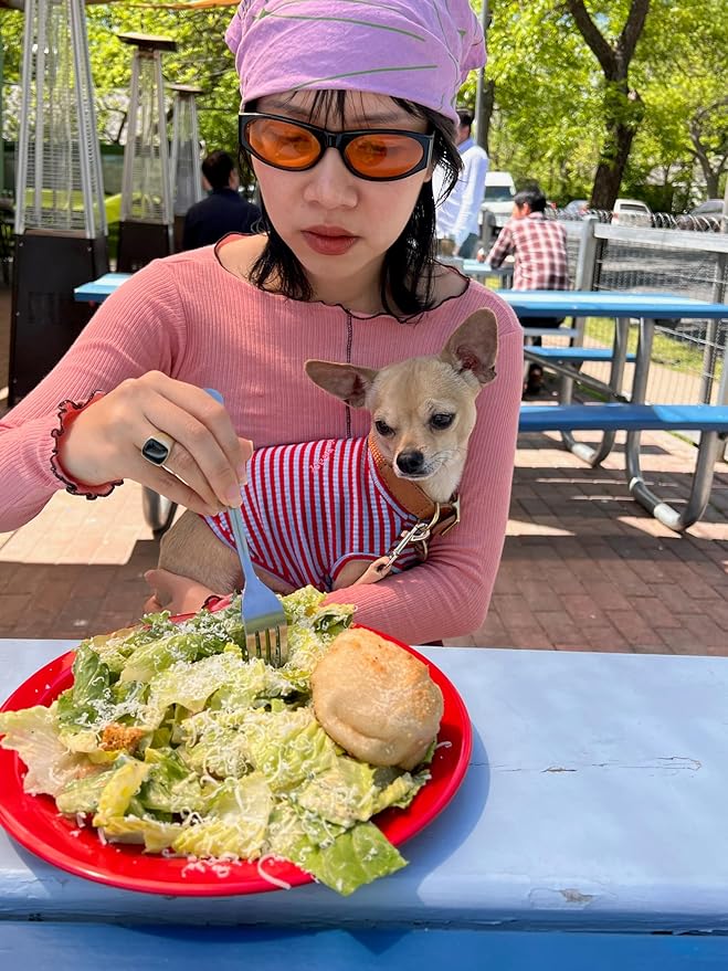 Little Beast Dog Clothes - Pet Clothes for Large, Medium, and Small Dogs (Dog Shirts Come in Multiple Colors and Styles) - Size: X-Large Dogs, Red/Blue