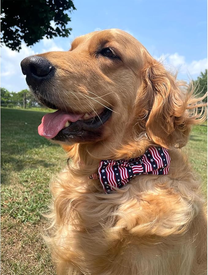 Lionheart glory American Flag Dog Collar, 4 of July Dog Bow Collar Heavy Duty Adjustable Patriotic Dog Collar with Bowtie for Medium Dogs Pet Gift