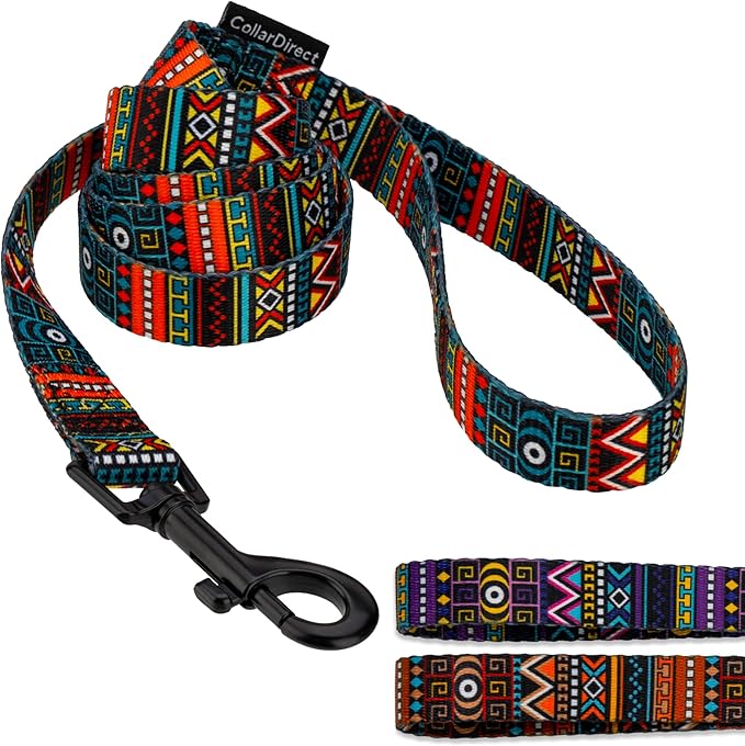CollarDirect Aztec Dog Leash Nylon Tribal Pattern Cat Pet Leashes for Small Medium Large Dogs Puppy Lead 5 FT Long for Walking (Ethnic Teal, S, New)