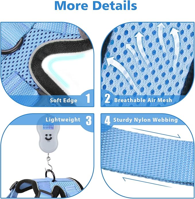 Dooradar Cat Harness and Leash Set, Escape Proof Safe Adjustable Kitten Vest Harnesses for Walking, Easy Control Soft Breathable Mesh Jacket with Reflective Strips for Cats,Light Blue, XS