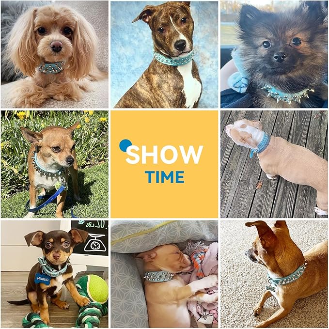 PETCARE Spiked Dog Collar Blue Soft Pu Leather Funny Mushrooms Rivet Spike Studded Puppy Collar Adjustable Outdoor Pet Dog Collar for Small Medium Large Dogs Cats Chihuahua Pug Pit Bull Dog Collars