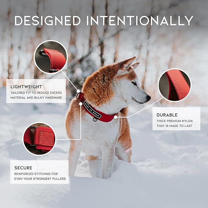 MADE TO ROAM Premium Everyday Dog Collar - Martingale Style No Pull Vegan Leather Collar, Heavy Duty and Lightweight for Small, Medium, Large Dogs (Utah Glow, Size 4)