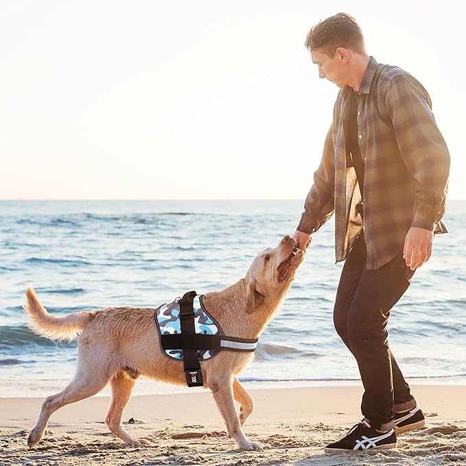 Dogline Dog Harness, Reflective No-Pull Adjustable Vest with Handle for Walking, Training, Breathable, No - Choke Harness for Small, Medium or Large Dogs Room for Patches Girth 33"-46" in Blue Camo