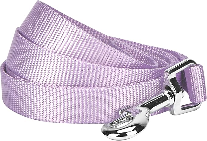 Blueberry Pet Essentials 21 Colors Durable Classic Dog Leash 5 ft x 5/8", Lavender, Small, Basic Nylon Leashes for Dogs