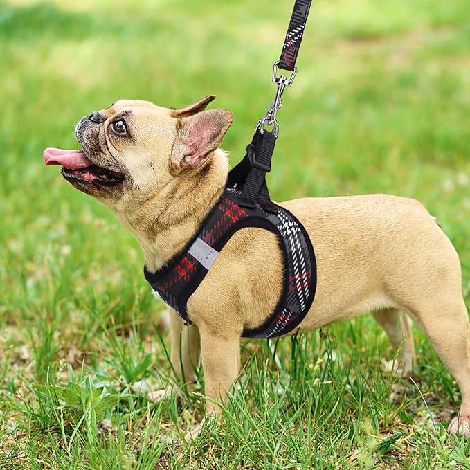PUPTECK Dog Harness and Leash Set for Small Medium Dogs No Pull Step-in Soft Mesh Puppy Cat Vest Harnesses Reflective at Night, Plaid Pattern Black S