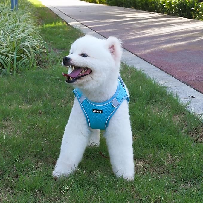 AIITLE Small Dog Harness, No-Pull Cat Harness with a Leash, Step in Adjustable Puppy Harness with Quick-Release Buckle, Reflective Outdoor Pet Vest for Extra Small Dogs and House Cats Blue XXS