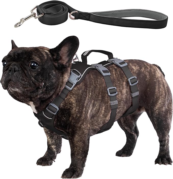 Escape Proof Dog Harness and Leash Set, Lightweight Dog Harness with Lift and Assist Handle, No Pull Reflective Pet Vest for Small Medium Dogs, Ideal for Puppy Walking and Training (Black, M)