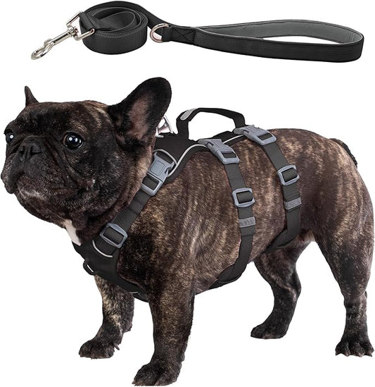 Escape Proof Dog Harness and Leash Set, Lightweight Dog Harness with Lift and Assist Handle, No Pull Reflective Pet Vest for Small Medium Dogs, Ideal for Puppy Walking and Training (Black, M)