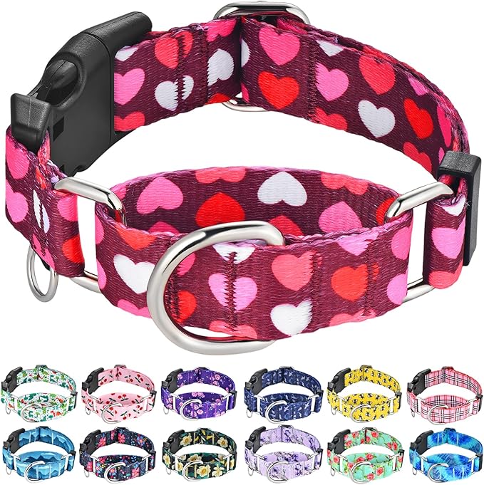 Valentines Pink Martingale Collar for Dogs with Buckle Adjustable Heart Dog Collars (Burgundy Love, Small)