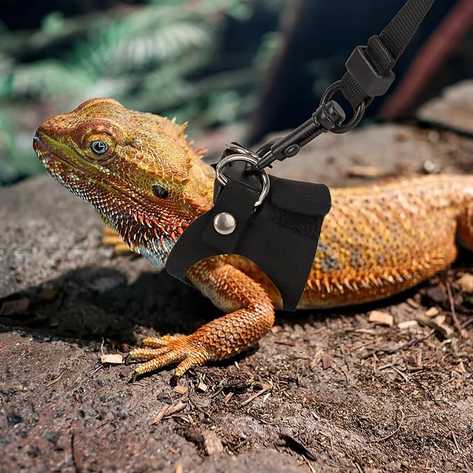 ADOGGYGO Bearded Dragon Harness Leash Set- 3 Size Pack Lizard Harness, Lizard Reptile Walking Leash for Bearded Dragon Reptiles (Black)