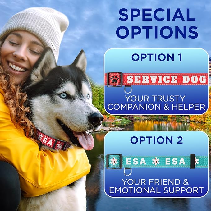 TECEUM Reflective Pet Collar – Sky Blue – L – Extra Soft Padding – Basic Nylon Dog Collar – Quick Release Buckle – Fits Small, Medium and Large Dogs, Puppies, Cats – ESA & Service Dog Options