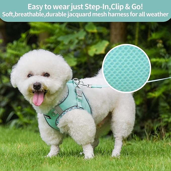 AIITLE XXS Dog Harness & Leash Set - Breathable Reflective No-Choke Small Dog Harness for Teacup Puppies, Indoor/Outdoor Use - Boston Terrier, Maltese, Chihuahua (Turquoise, XXS)