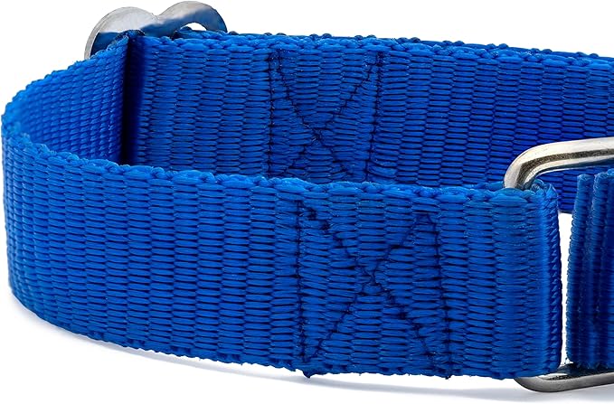 Martingale Dog Collar - Heavyduty Nylon Dog Collar with No Buckle Dog Training Collars for Medium Dogs (Blue, Large)
