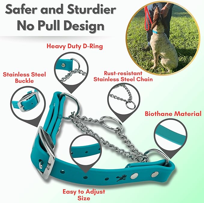 Martingale Collar for Dogs, Biothane, Stainless Steel Hardware, No Pull, Made in The USA, Professional Grade, XXS, Teal