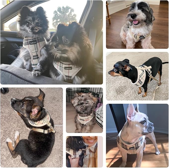 SCENEREAL Puppy Dog Harness with Leash Set for Small Medium Sized Dogs, Soft Mesh Step in Pet Harnesses and Leash, No Chock Plaid Adjustible No Pull Vest for Dogs Cats, Chihuahua,Bulldog (Beige S)