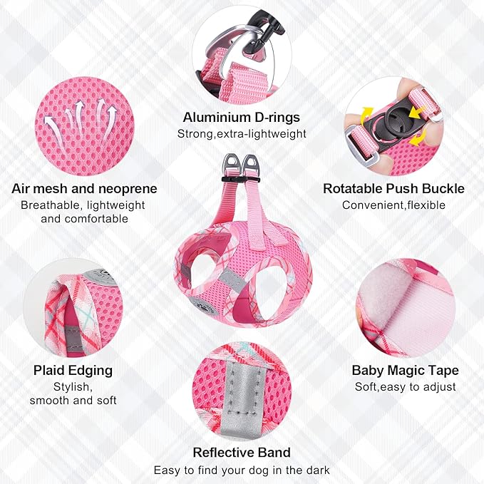 BEAUTYZOO Dog Harness and Leash Set for Small Medium Dogs,No Pull Step-in Harness for Puppy S M Sized Dogs and Cats,Air Mesh Adjustable Breathable Soft No Chock Escape Proof Vest Harnesses,Pink XXS