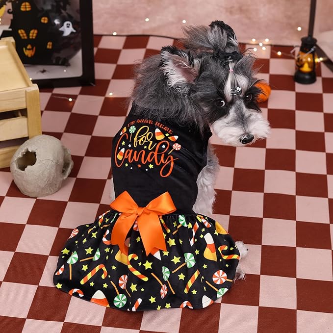 CuteBone Halloween Dog Dresses Velvet Holiday Small Dogs Clothes Onesie Pet Apparel Girl Puppy Skirt with Bow Hair Rope CVA44XS-D