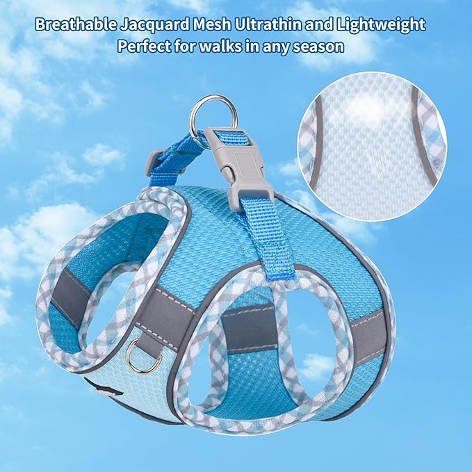 AIITLE Escape-Proof Dog Harness - Extra Soft Jacquard Fabric with Moisture-Wicking Lining, Adjustable Fit for Boston Terrier, Pekingese - Running, Playdates, Outdoor Adventures (Blue, L)