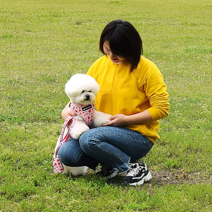 Dog Harness and Leash Set, Adjustable Dog Harness, Dog Leash, No Pull No Choke Puppy Harnesses for Walking Training for Small, Medium, Large Pet